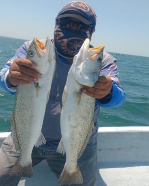 Celestún – Pesca con Mosca