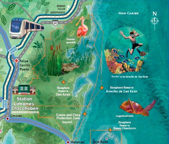 Tulum-Ascencion Bay - Punta Allen Station