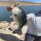 Happy Angler with amazing black bass catch Lake Bayacor