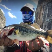 amazing black bass catch at Lake Zimapan