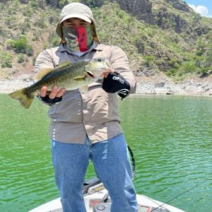 Lake Zimapan – Bass fishing