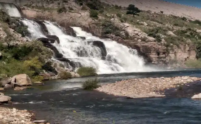 bayacora3