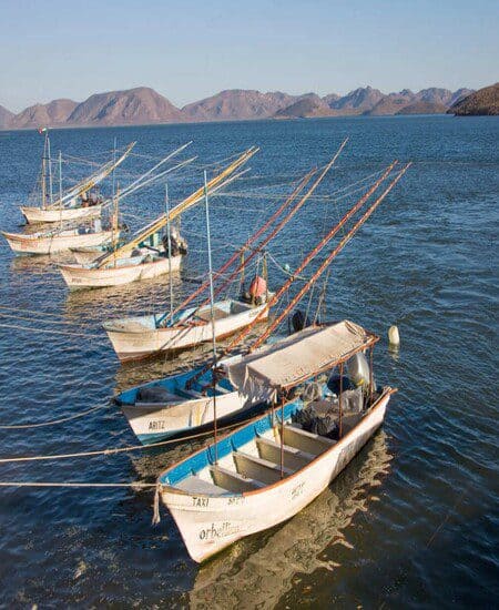 boats at topolobampo