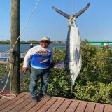sailfish catch at altata