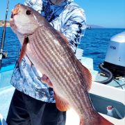 Get ready to catch amazing fish at Bahia de los sueños