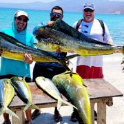 Mahi mahi paradise in Bahía de los Sueños