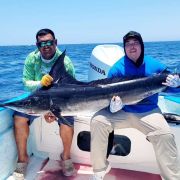 Go for Blue marlin hunt in Bahía de los Sueños