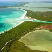 Tulum Boca Paila – Pesca con mosca