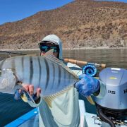 Fly fishing Paradise at Bahia de los Sueños