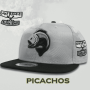 PICACHOS